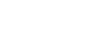 PG-flow_solutions_logo