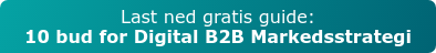 Klikk og last ned gratis guide: 10 bud for digital B2B markedsstrategi